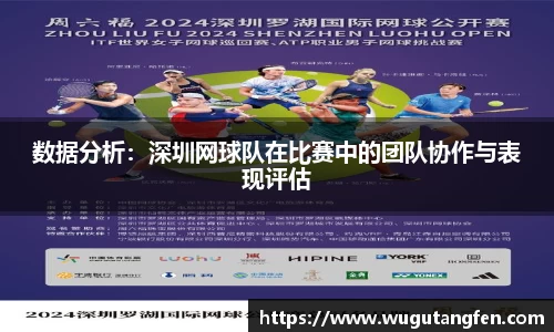 数据分析：深圳网球队在比赛中的团队协作与表现评估