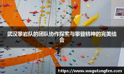 武汉攀岩队的团队协作探索与攀登精神的完美结合